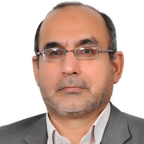Prof. Behrouz Minaei-Bidgoli
